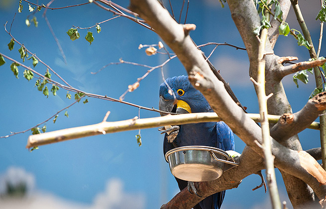 ddos攻击在哪能买到