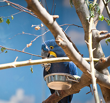 ddos压力测试平台