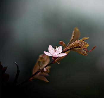 7x24小时发卡的DDOS压力测试网页端