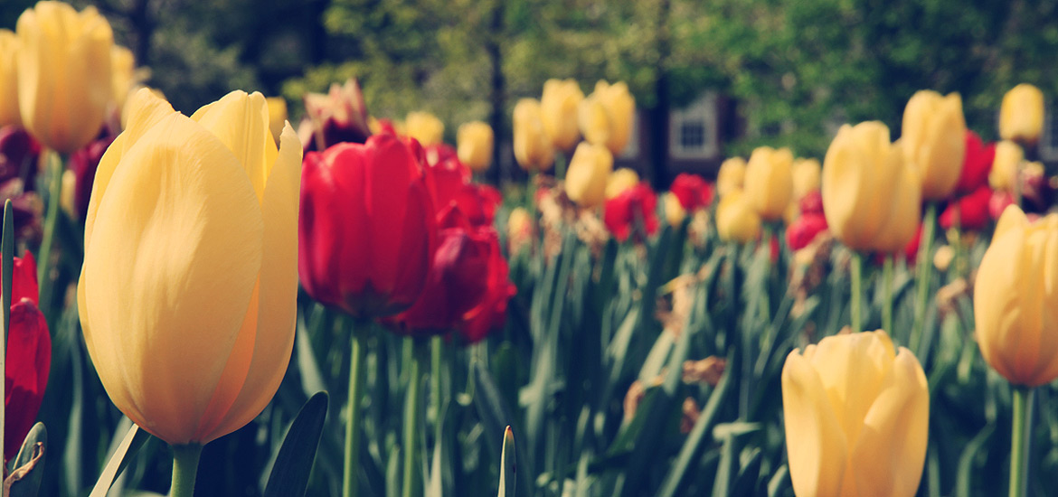 注册平台安全的ddos网页端源码