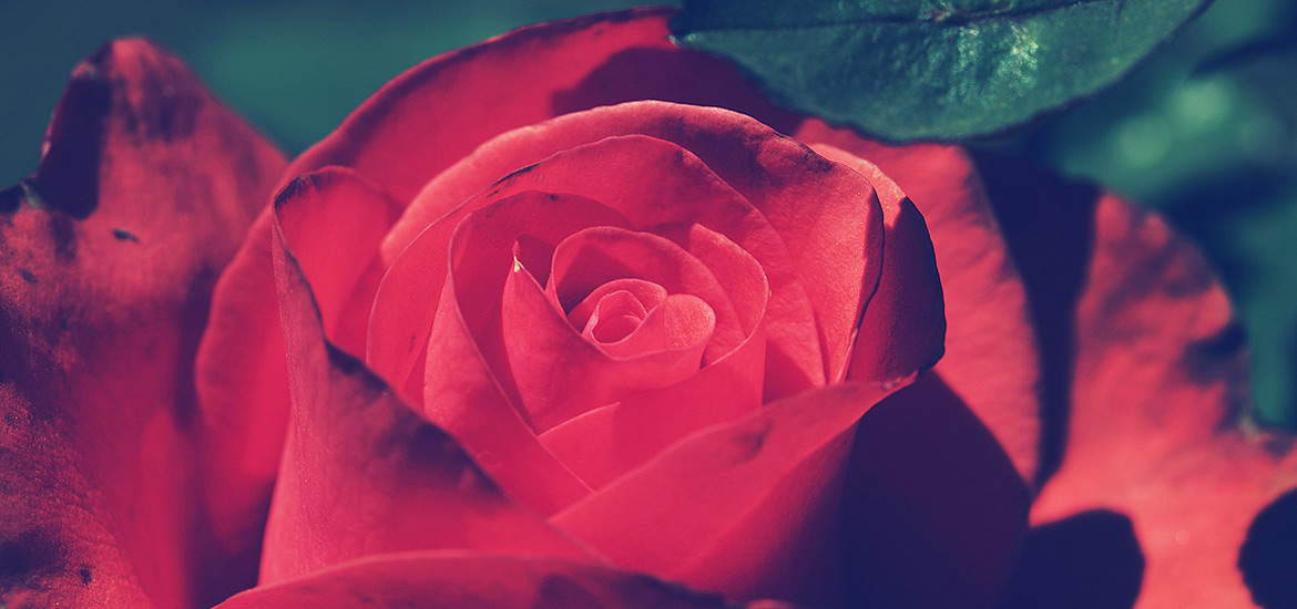 ddos压力测试平台