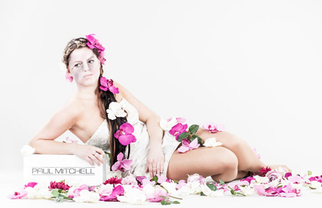 cc攻击免费网页版