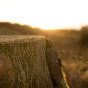 小黑ddos压力测试平台