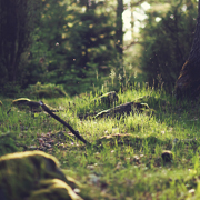 平台在线ddos压力测试