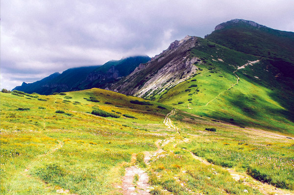 在线DDOS平台攻击